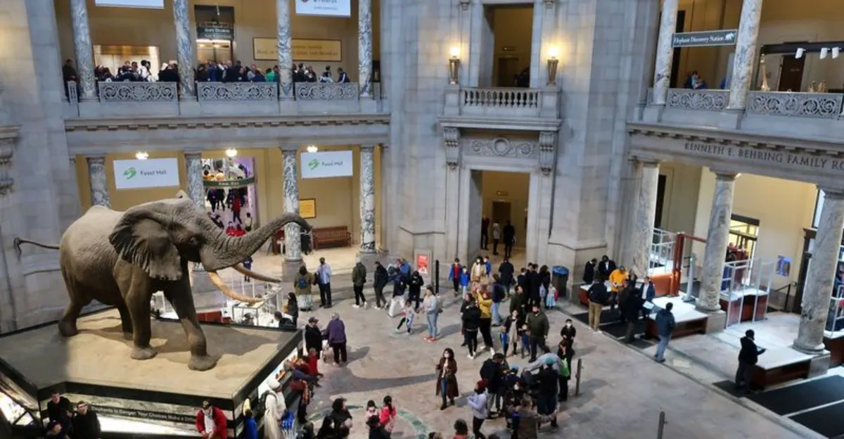 reasons-the-smithsonian-museums-in-washington-dc-are-perfect-for-a-family-trip