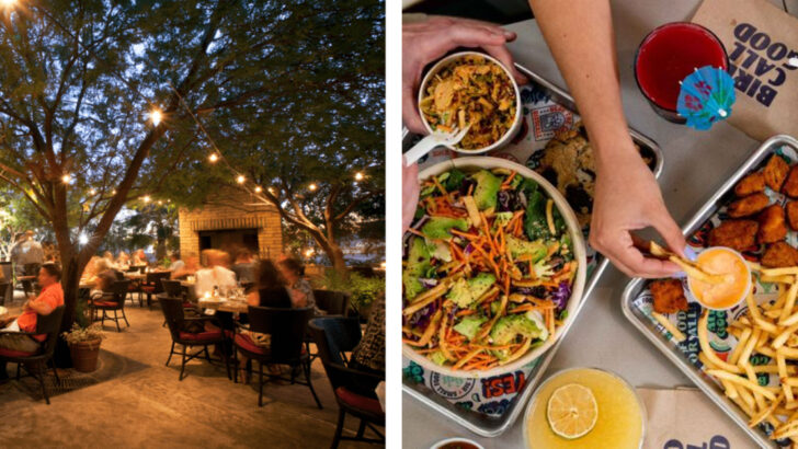 10 Family‑Friendly Restaurants in Phoenix Where Parents Actually Relax