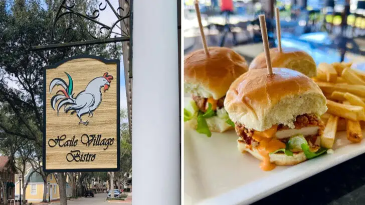 10 Gainesville, Florida Restaurants Perfect for Families During Gators Season