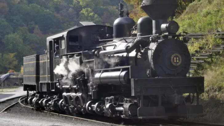 10 Kid-Friendly Attractions Across West Virginia Parents Recommend