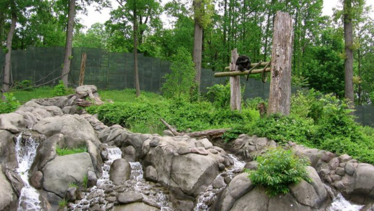 10 Knoxville attractions that make the city worth a weekend trip