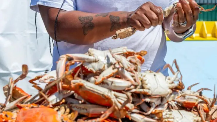 10 Maryland seafood festivals that every foodie should experience