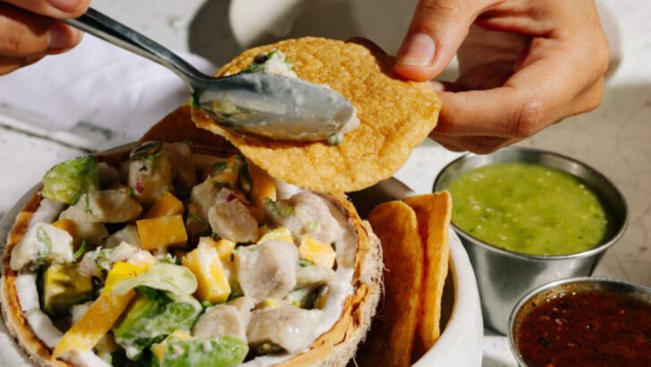 10 Mexican Restaurants in Dallas Where the Flavor Speaks for Itself