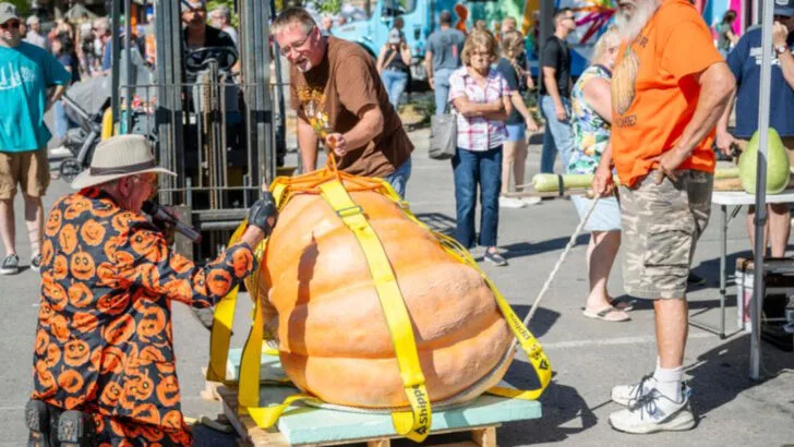 10 South Dakota food festivals that celebrate the state’s flavors