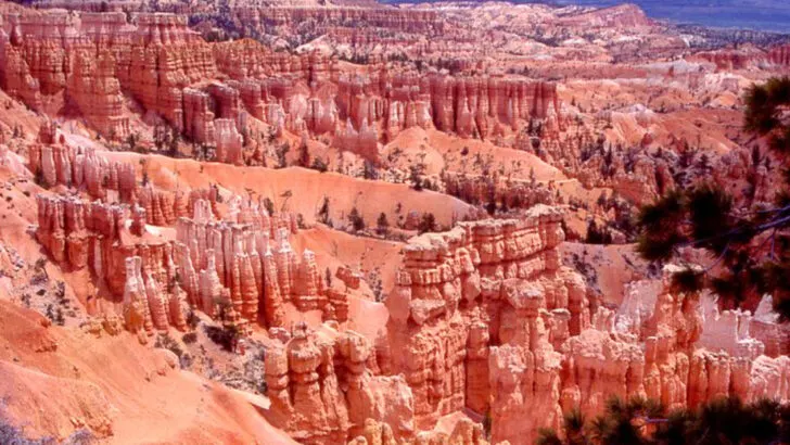 10 Stunning Locations to Enjoy Fall Foliage in Utah