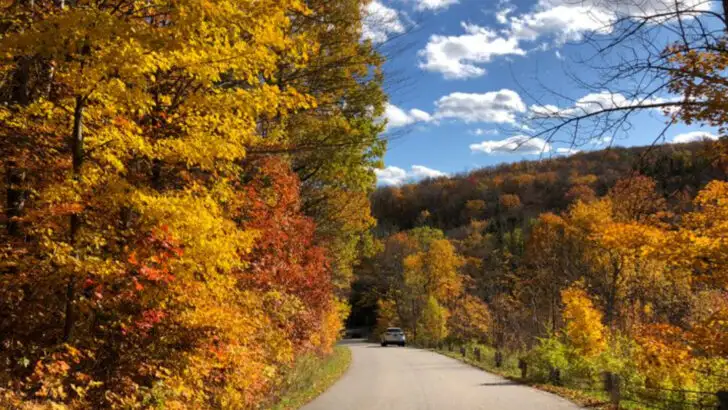 10 fall foliage road trips in Vermont worth planning this year