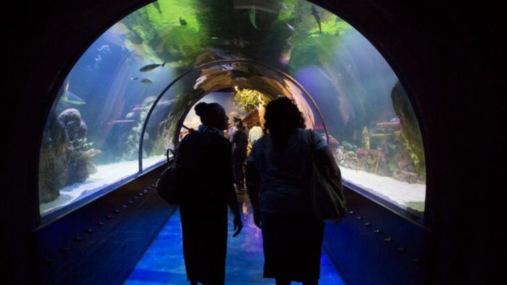 10 fun things to do in Shreveport on a weekend getaway