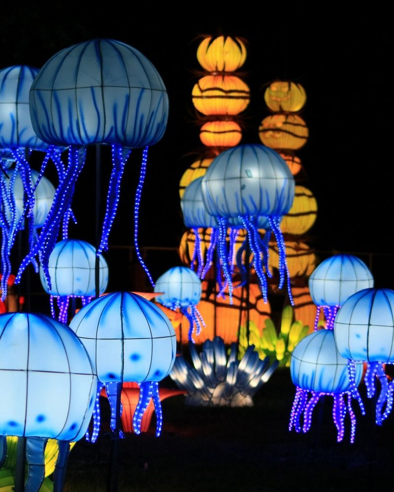 Autumn Glow Festival, Eureka / Brookdale Farms, Missouri