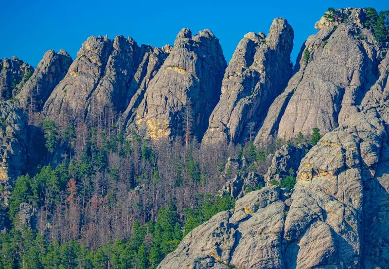 Black Hills, South Dakota