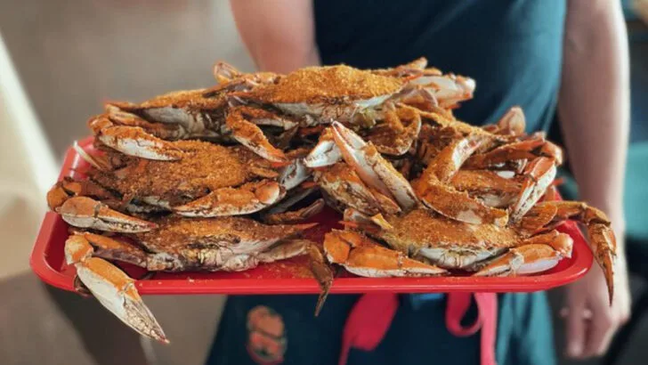 11 Delaware Crab Shacks Serving Dishes Locals Can’t Get Enough Of