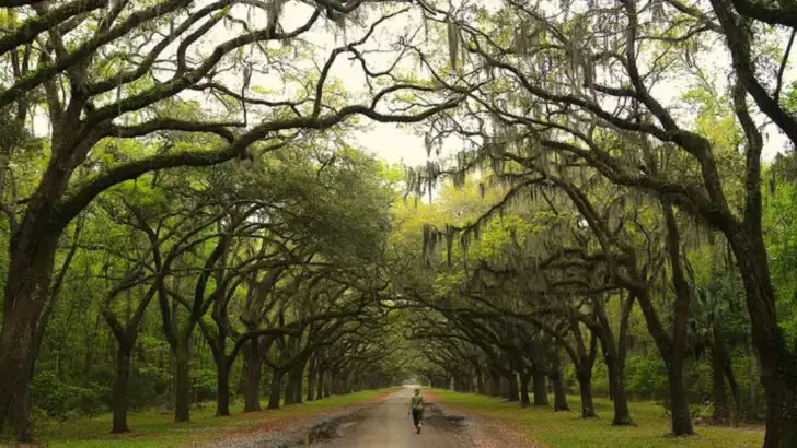 11 Heritage Sites in Georgia Worth Adding to Your Itinerary