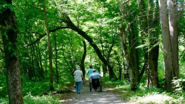 11 North Carolina hiking trails easy enough for the whole family