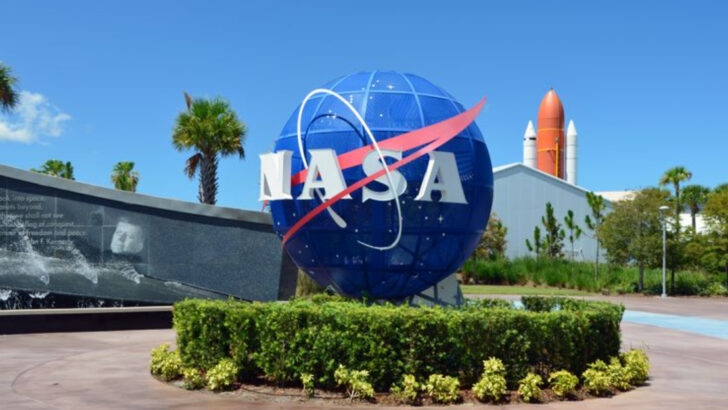 11 Things That Make Florida a Year-Round Destination for Families