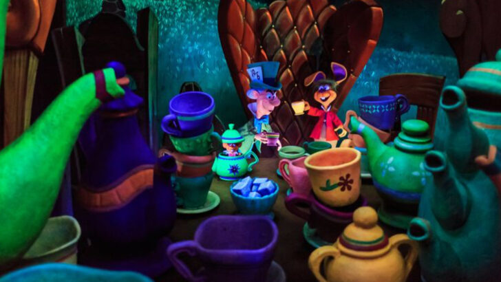 11 things you can do at Disneyland that you won’t find at Disney World