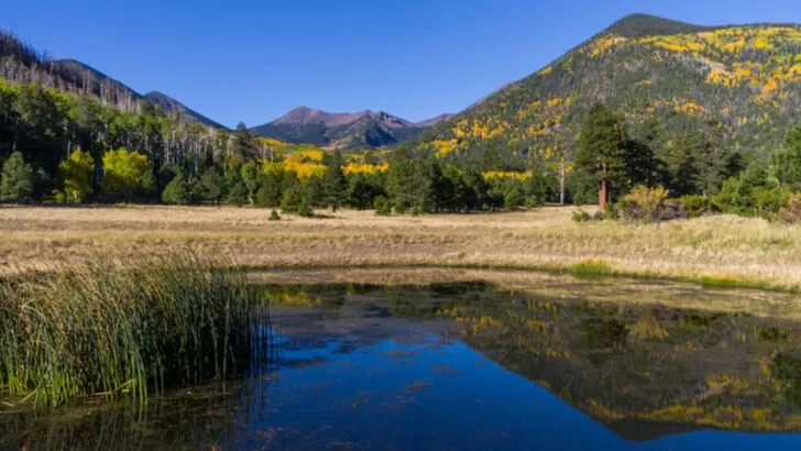 12 Beautiful Spots to Enjoy Fall Colors in Arizona