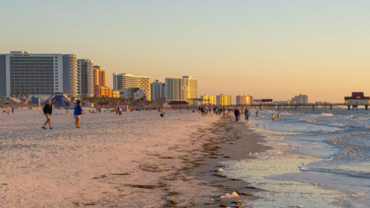12 Easy Day Trips from Tampa That Feel Like Mini Vacations