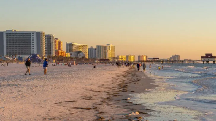 12 Easy Day Trips from Tampa That Feel Like Mini Vacations
