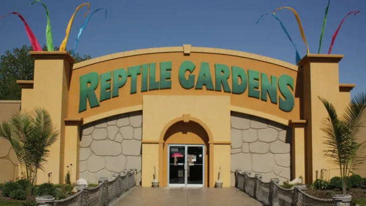 12 Family Day Trips in South Dakota Starting from Rapid City