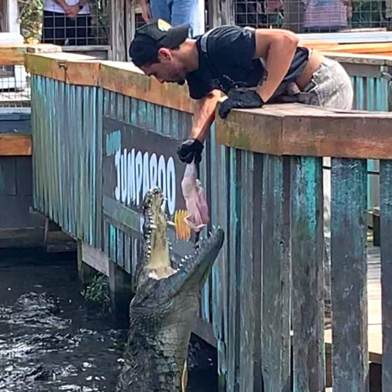 Gatorland — Orlando