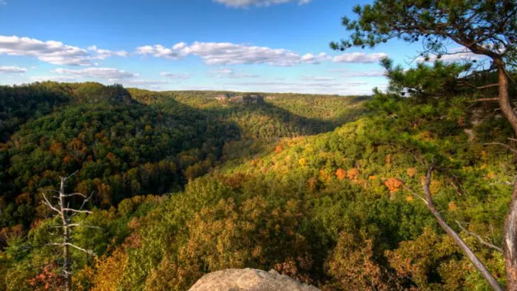 12 Kentucky Views That Capture Autumn in Full Color