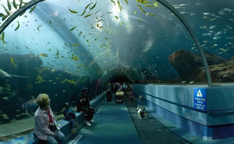The Georgia Aquarium