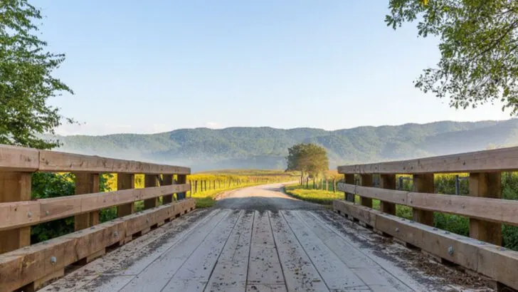 12 Tennessee Road Trips Bursting with Fall Colors and Mountain Views