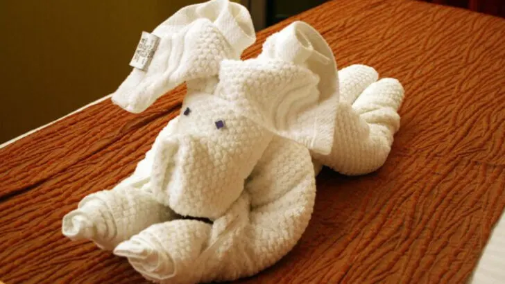 12 ways your cruise cabin steward can make life easier onboard