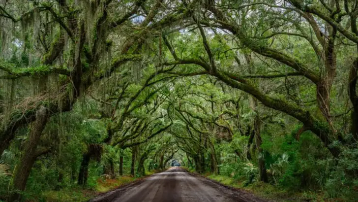 13 Easy Getaways from Charleston That Families Always Enjoy