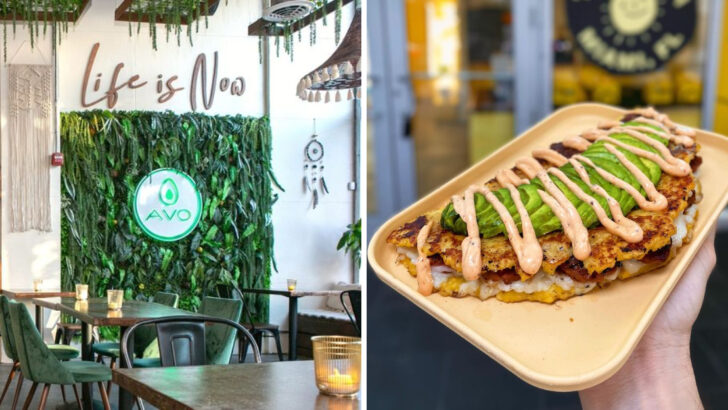 13 Miami Vegan Spots That Bring Global Flavors to the Table