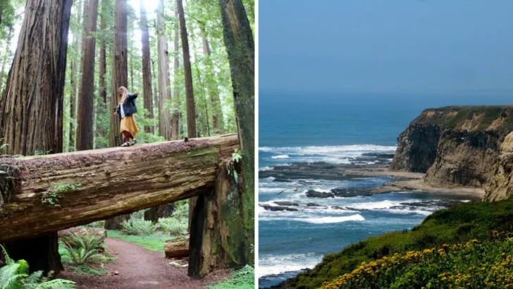 13 Underrated West Coast Road Trips That Feel Like Classic California Dreams