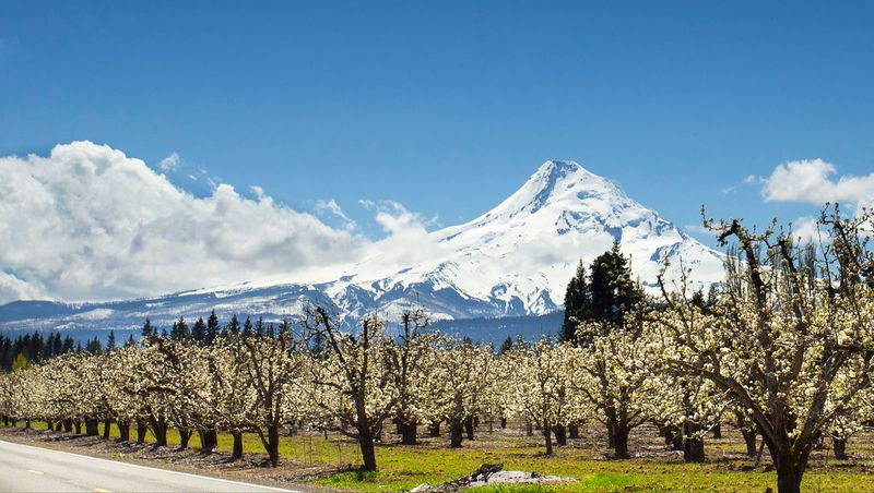 Hood River, Oregon