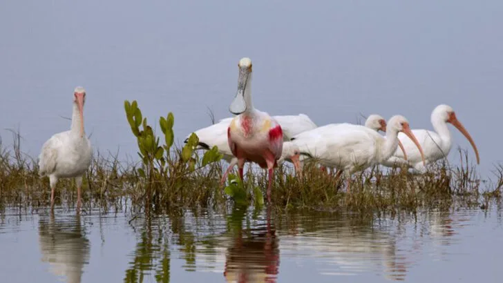 14 Best Stops Along Florida’s Space Coast