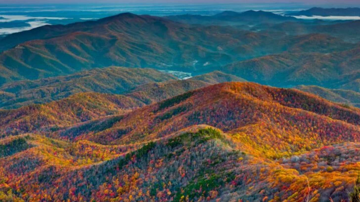 14 Fall Cabin Getaways with Views Worth Waking Up For