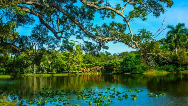 14 Miami Highlights That Make Every Trip Memorable