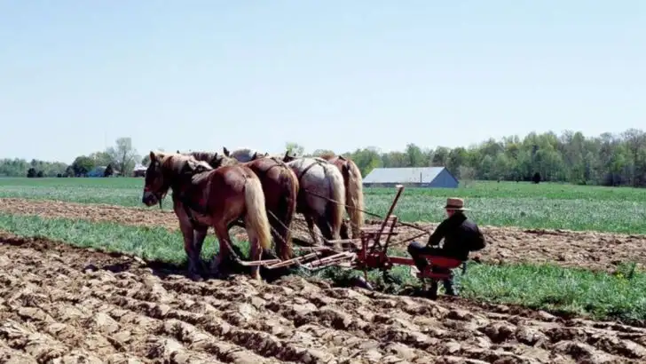 14 Pennsylvania Day Trips That Deliver More Than Just a Short Drive