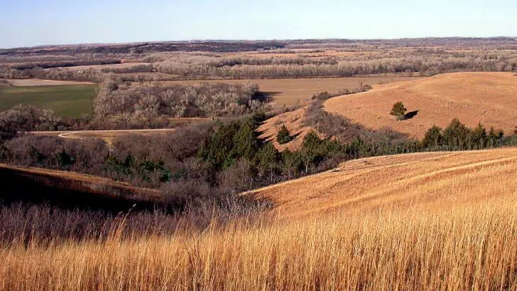 14 Prairie Landscapes Across the Great Plains That Glow in Golden Autumn Light