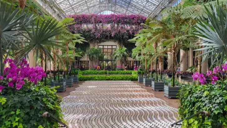 14 stunning botanical gardens in America that bloom in every season