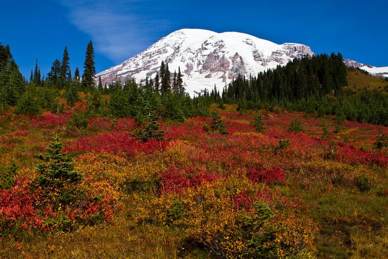 Mount Rainier National Park