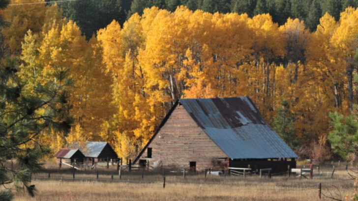 15 Scenic Places to Enjoy Fall Foliage in Washington State