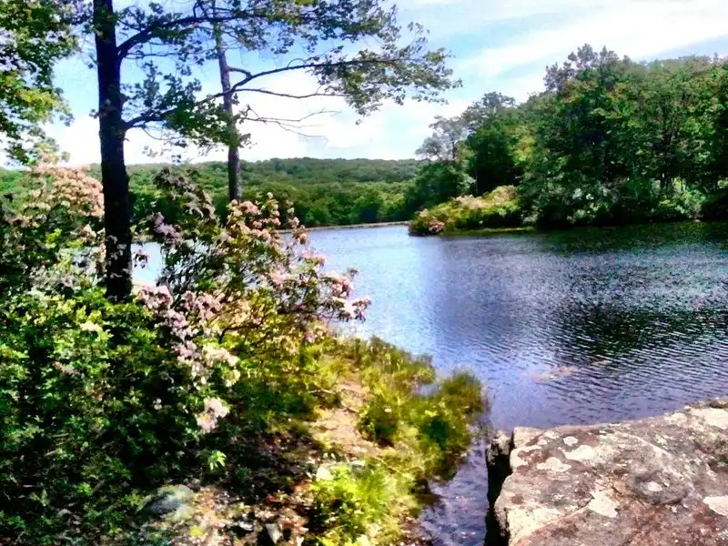 Harriman State Park – New York