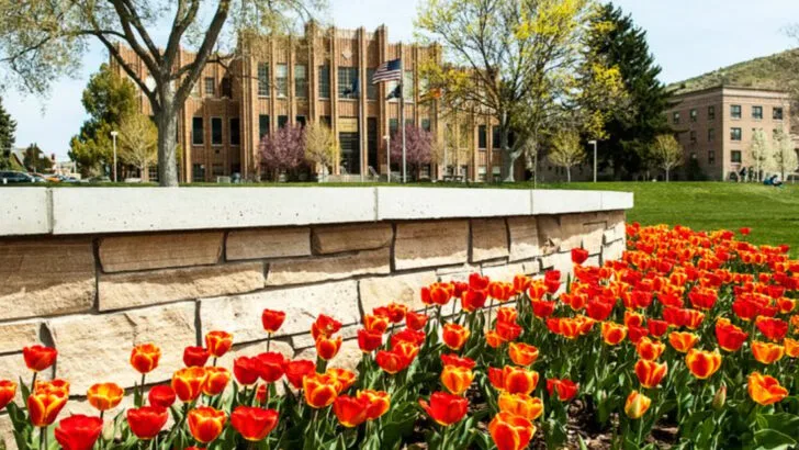 15 states that are attracting newcomers with jobs, scenery, and lifestyle