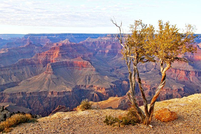 Grand Canyon National Park – Arizona