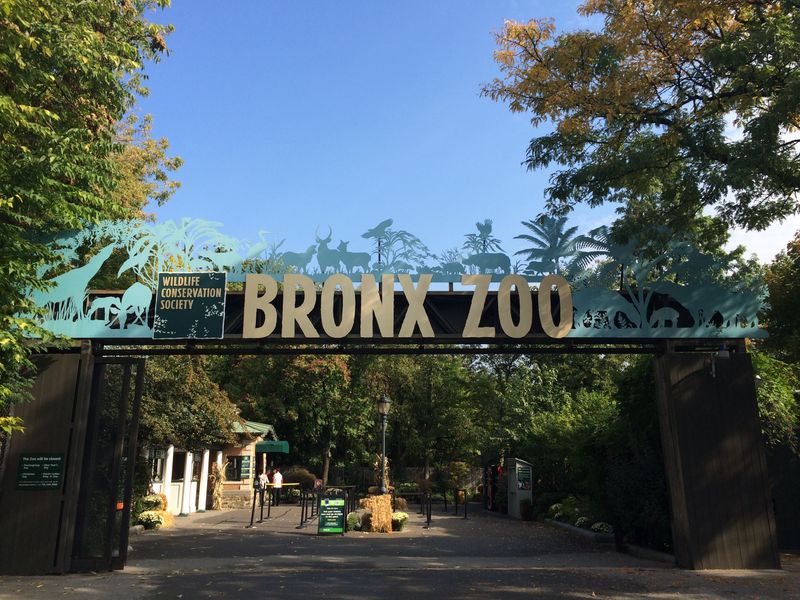 Bronx Zoo, New York