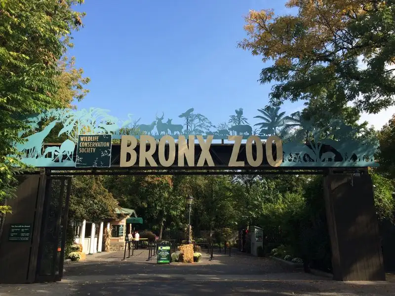 Bronx Zoo, New York