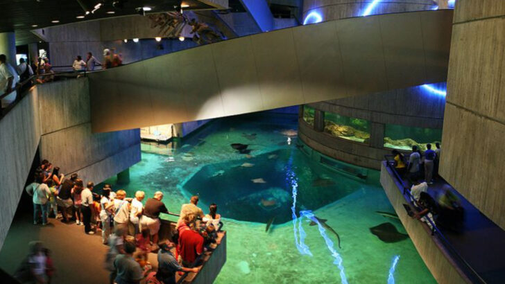 16 East Coast Zoos and Aquariums That Make Great Family Stops
