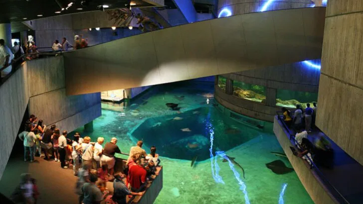 16 East Coast Zoos and Aquariums That Make Great Family Stops