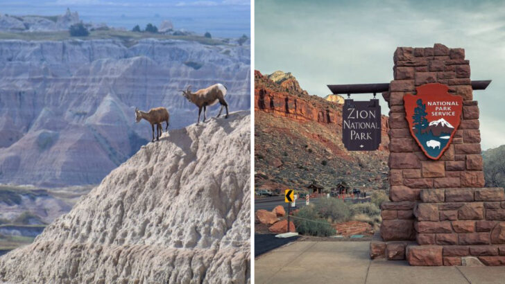 16 Most Walkable National Parks to Explore This Year
