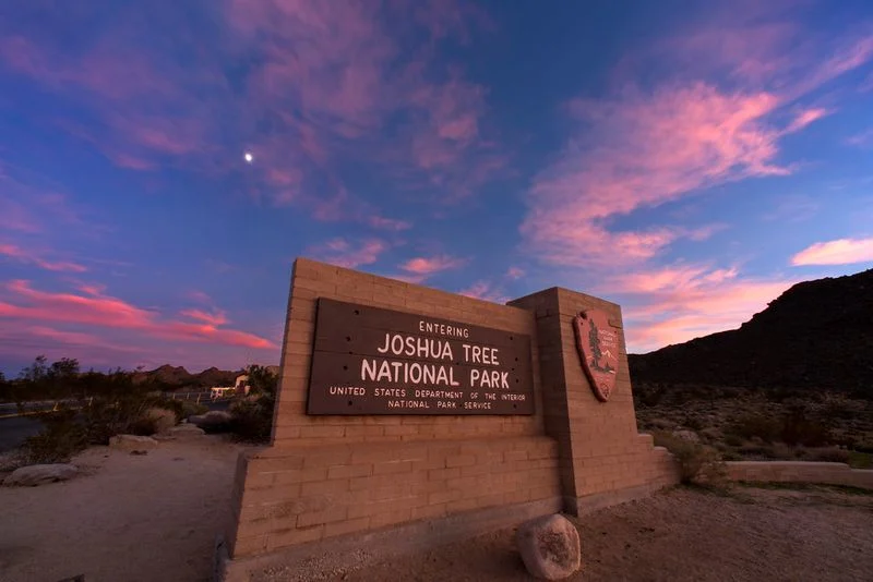 Joshua Tree National Park