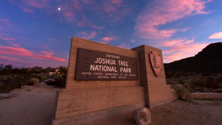 17 Worthwhile Stops Along I-10 for a Family Road Trip