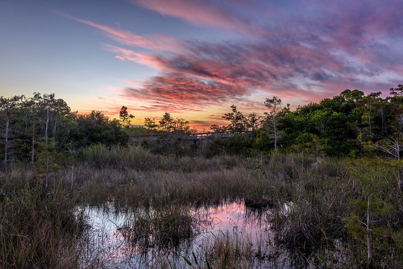 Explore the Everglades by Airboat